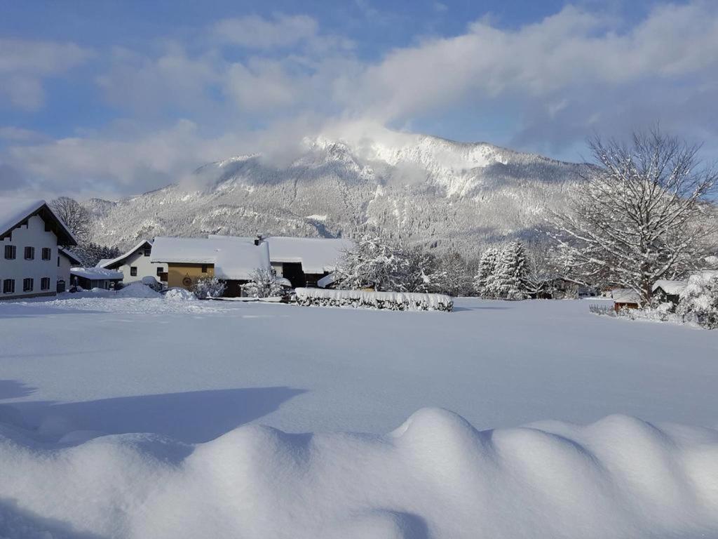 Chiemgauferienwohnungen - Wanderlust Und Alpenrose Unterwössen Eksteriør billede